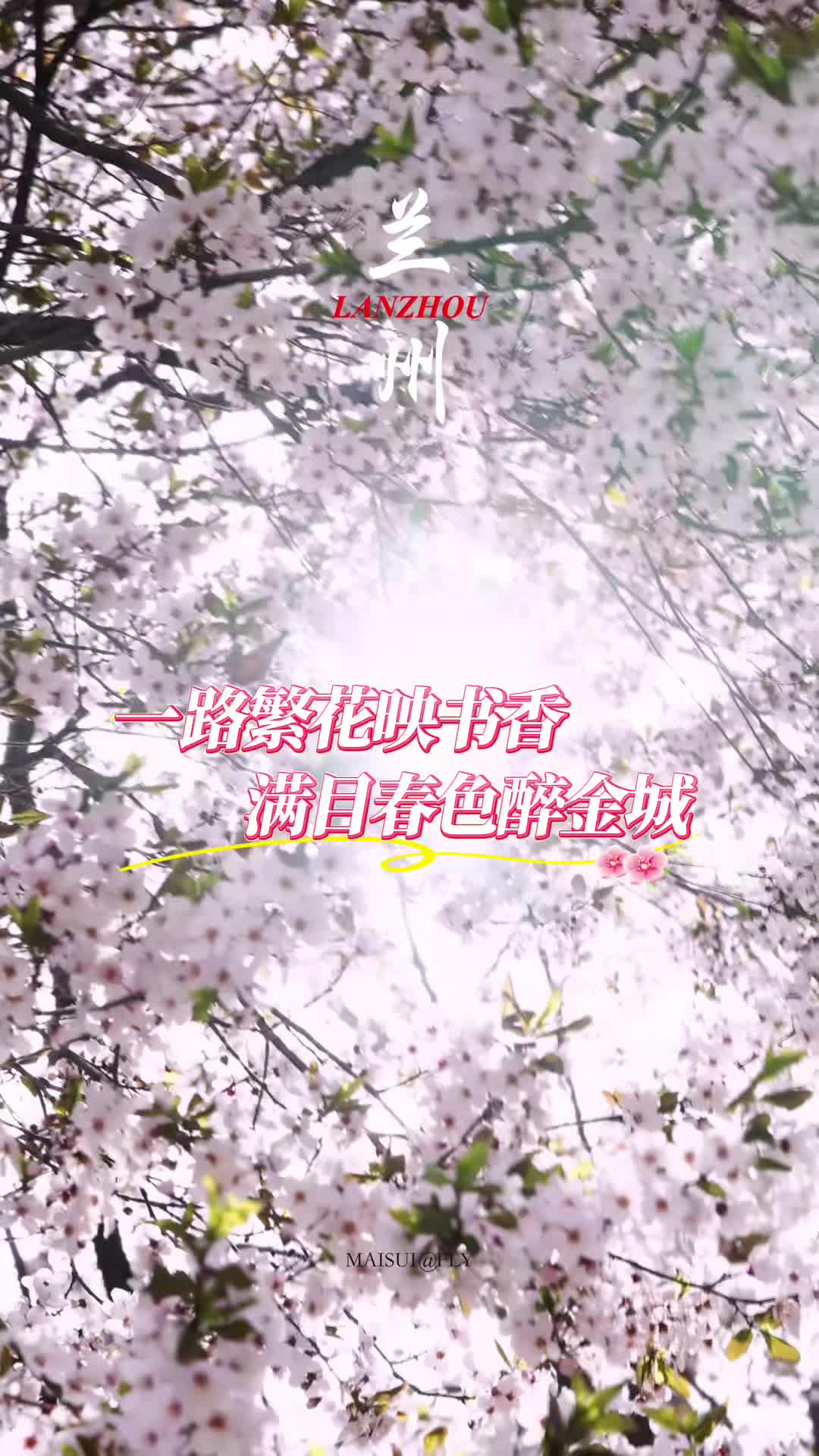 ���_(k��i)��� ��ؓ(f��)�r(sh��)���һ·����ӳ��(sh��)�����MĿ��ɫ�����