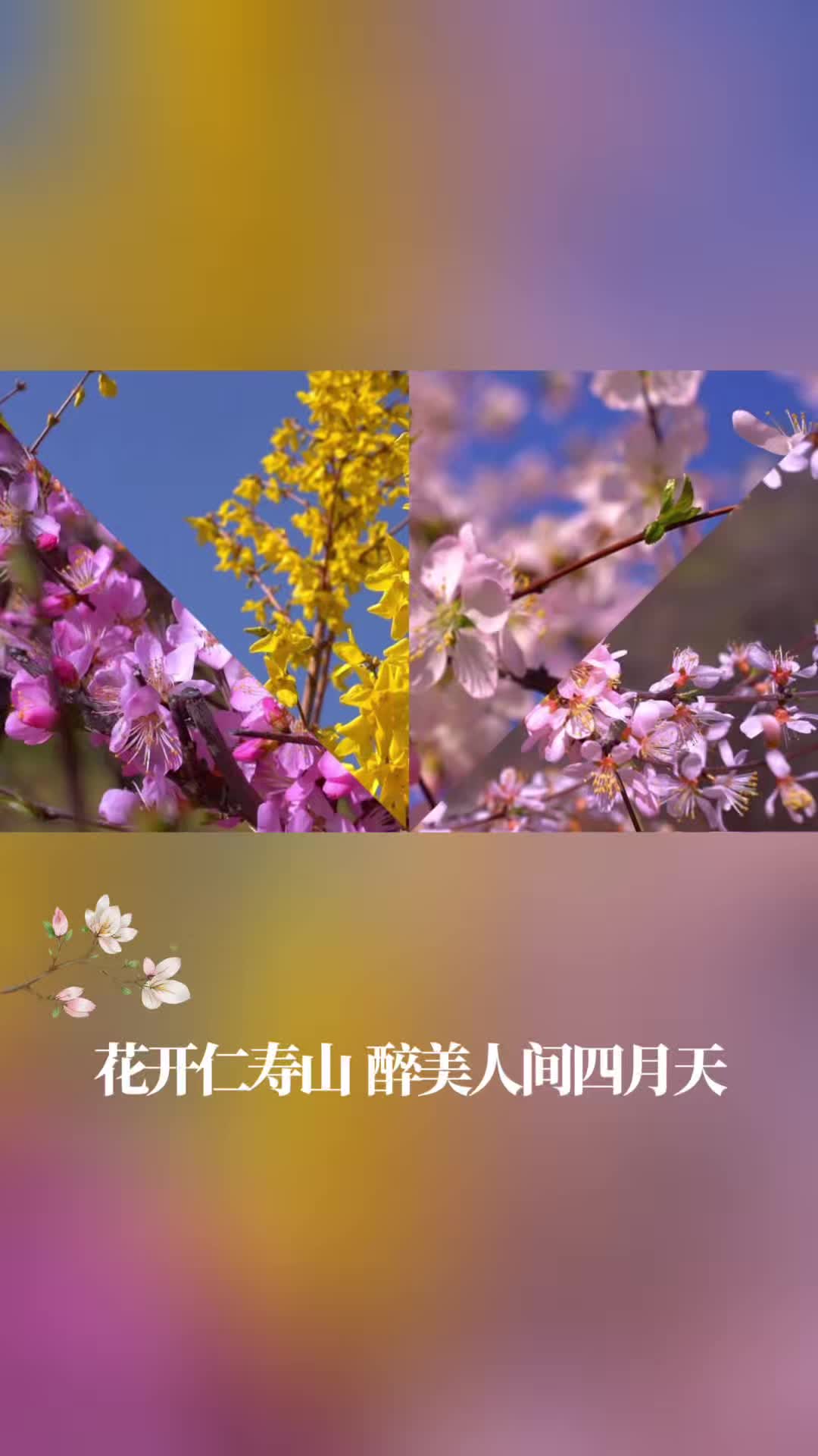 ��Ҋ(ji��n) | ���´��L(f��ng)��������m�ݰ����ʉ�ɽ�f(w��n)���һ���(j��ng)��`�ţ�ӭ��(l��i)����^�p����̤���p�������������ڻ����g�M�����������������S��֮�I�Ġ��������c�����L(f��ng)����