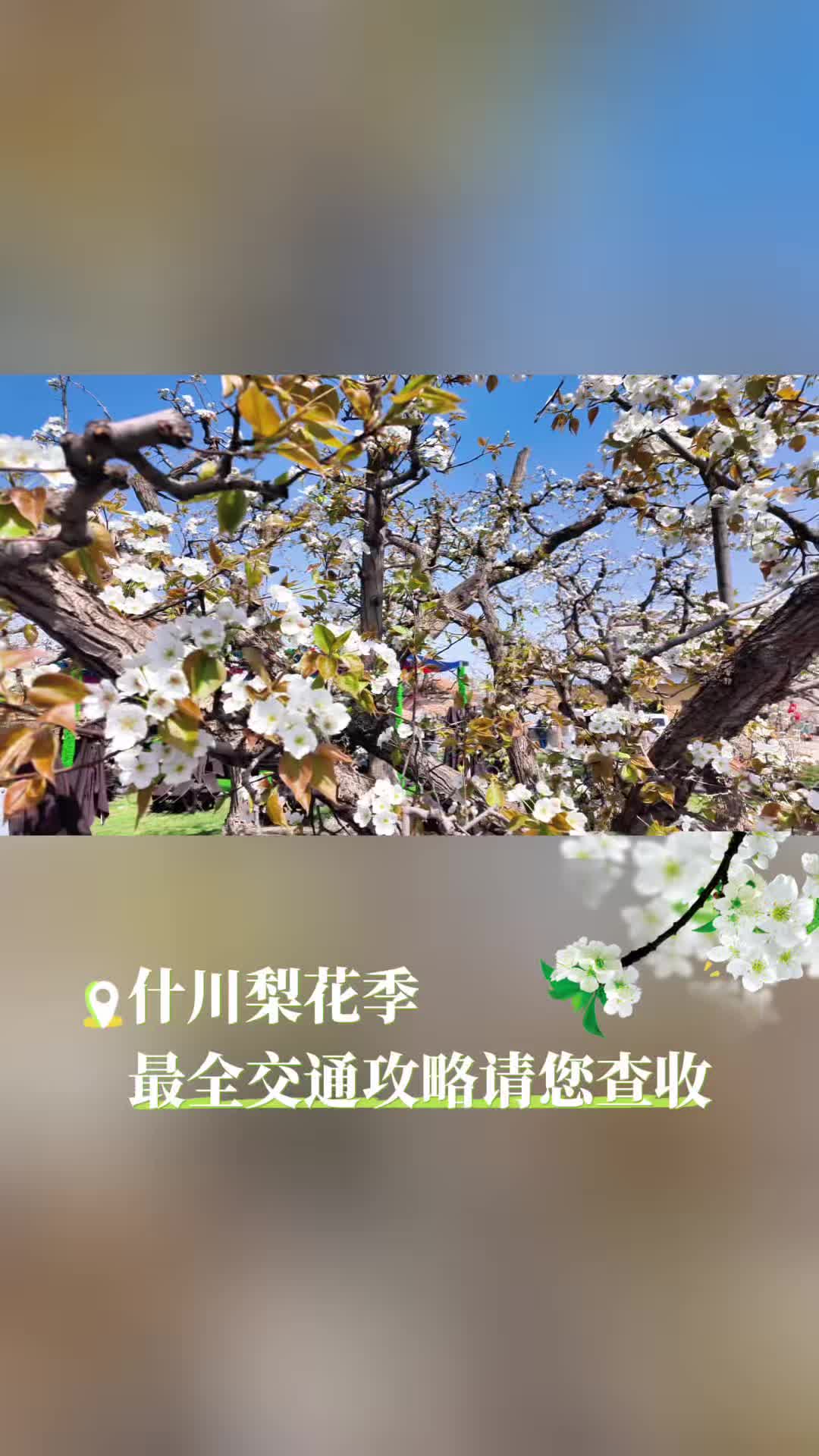 ���_��� ��ؓ(f��)�r���ʲ���滨����ȫ��ͨ������ӛ��һ�I�ղ�Ŷ��