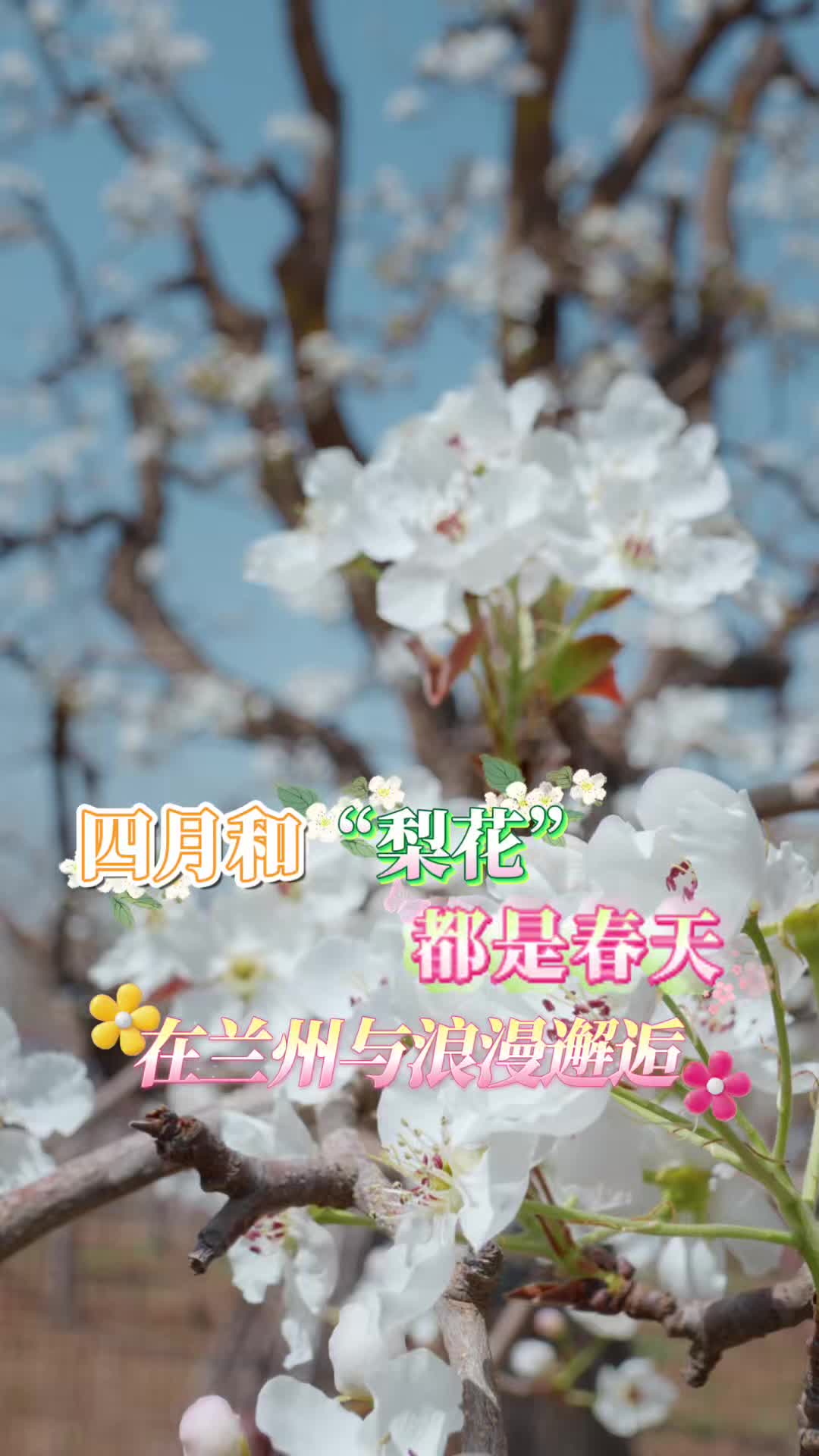 ���_��� ��ؓ(f��)�r���һ�Ǵ�ɫ��ǻ������½�����滨���裬�c�r���������c�����������һ��ʲ������@����